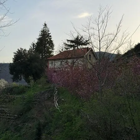 Appartement La Buscarella