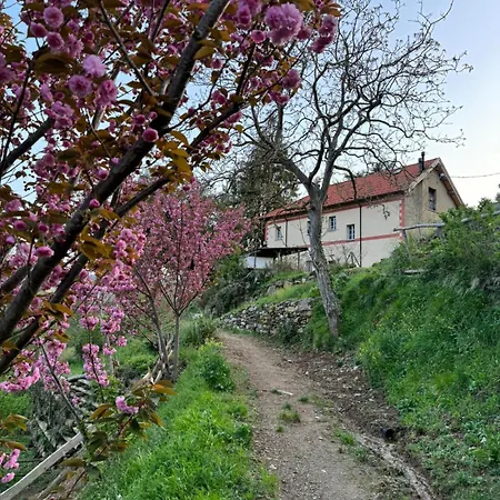 Appartement La Buscarella