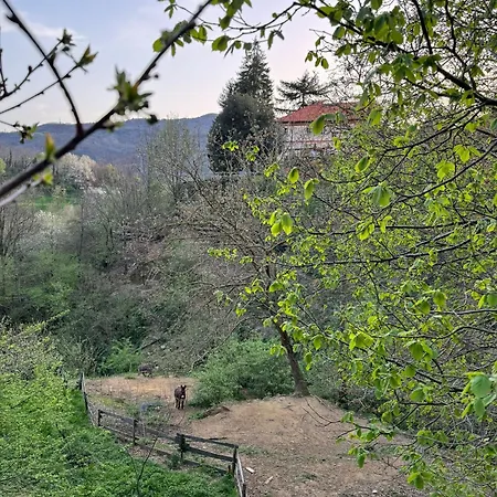 Appartement La Buscarella