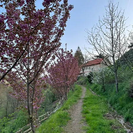 Appartement La Buscarella