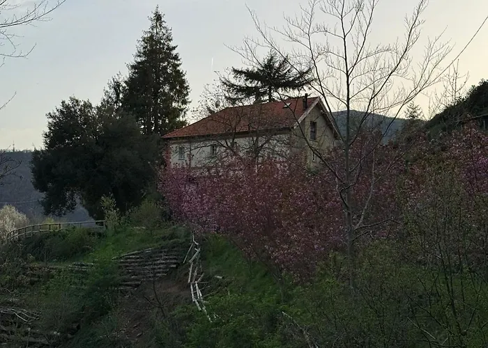 Lejlighed La Buscarella