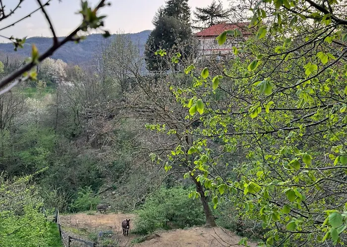 Lejlighed La Buscarella